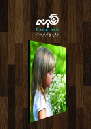 شاسی عکس